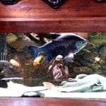 Vietatile de la Piranha, restaurant club in Regie