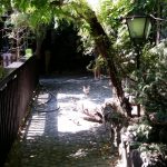 Vietatile de la Piranha, restaurant club in Regie