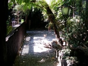 Vietatile de la Piranha, restaurant club in Regie