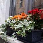 Bistro Matrioska, local boem pe strada Visarion in Bucuresti