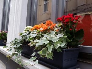 Bistro Matrioska, local boem pe strada Visarion in Bucuresti