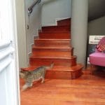 Bistro Matrioska, local boem pe strada Visarion in Bucuresti