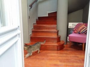 Bistro Matrioska, local boem pe strada Visarion in Bucuresti