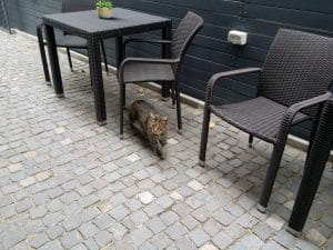 Bistro Matrioska, local boem pe strada Visarion in Bucuresti