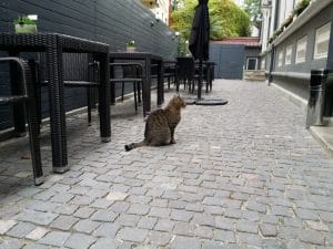 Bistro Matrioska, local boem pe strada Visarion in Bucuresti