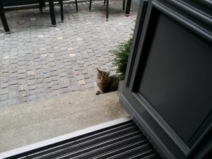 Bistro Matrioska, local boem pe strada Visarion in Bucuresti