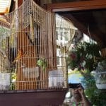 Casa Gorjana, restaurant traditional romanesc in Centrul Vechi, la Brezoianu