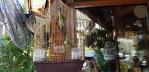 Casa Gorjana, restaurant traditional romanesc in Centrul Vechi, la Brezoianu