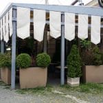 El Pato (Ratoiul), restaurant la Gradina Icoanei in Bucuresti