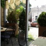 El Pato (Ratoiul), restaurant la Gradina Icoanei in Bucuresti