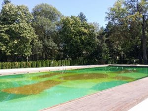 Flavours in The Garden, bistrou si terasa cu piscina la Clubul Diplomatic