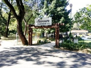 Flavours in the Garden, terasa Clubului Diplomat, Bucuresti