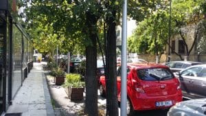 Gallo Nero, restaurant cu specific italian clasic la Piata Charles de Gaulle