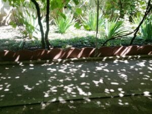 Gastronomika, restaurant cu bucatarie adriatica (italiana si balcanica) pe strada Viitorului 28