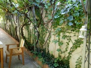 Gastronomika, restaurant cu bucatarie adriatica (italiana si balcanica) pe strada Viitorului 29