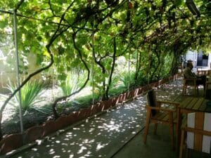 Gastronomika, restaurant cu bucatarie adriatica (italiana si balcanica) pe strada Viitorului 30