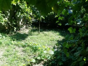 Gastronomika, restaurant cu bucatarie adriatica (italiana si balcanica) pe strada Viitorului 32