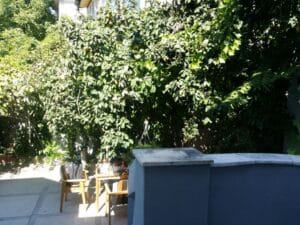 Gastronomika, restaurant cu bucatarie adriatica (italiana si balcanica) pe strada Viitorului 41