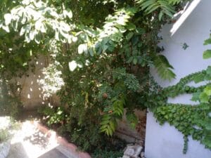 Gastronomika, restaurant cu bucatarie adriatica (italiana si balcanica) pe strada Viitorului 45