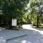 Gradina Floreasca, terasa cu piscina in Parcul Floreasca din Bucuresti