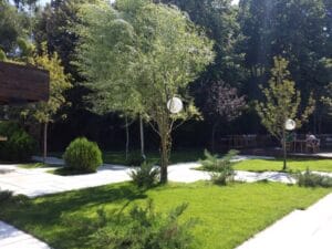 Gradina Floreasca, terasa cu piscina in Parcul Floreasca din Bucuresti