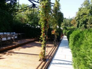 Gradina Floreasca, terasa cu piscina in Parcul Floreasca din Bucuresti