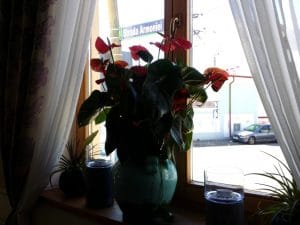 Il Destino, restaurant cu bucatarie italiana traditionala in Strada Silvestru