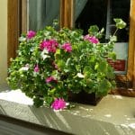 Il Destino, restaurant cu bucatarie italiana traditionala in Strada Silvestru