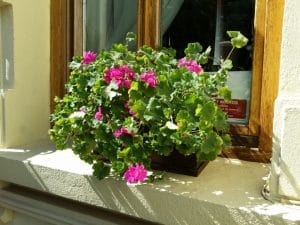 Il Destino, restaurant cu bucatarie italiana traditionala in Strada Silvestru