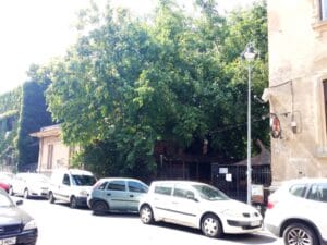 La Copac, terasa boema si restaurant specific romanesc pe Pitar Mos