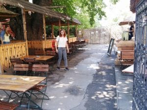 La Copac, terasa boema si restaurant specific romanesc pe Pitar Mos