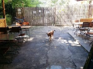 La Copac, terasa boema si restaurant specific romanesc pe Pitar Mos