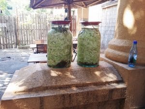 La Copac, terasa boema si restaurant specific romanesc pe Pitar Mos