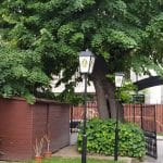 La Nenea Iancu, berarie in strada Romulus din Bucurestiul Vechi