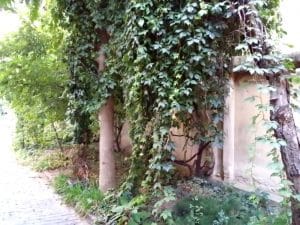 Luna Cafe & Bistro, pe strada Viitorului in Bucuresti