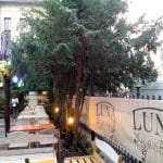 Luna Cafe & Bistro, pe strada Viitorului in Bucuresti