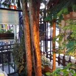 Luna Cafe & Bistro, pe strada Viitorului in Bucuresti