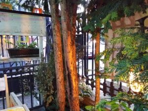 Luna Cafe & Bistro, pe strada Viitorului in Bucuresti