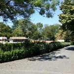 Parcul Clubului Diplomatic in Parcul Herastrau din Bucuresti
