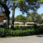 Parcul Clubului Diplomatic in Parcul Herastrau din Bucuresti