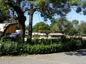 Parcul Clubului Diplomatic in Parcul Herastrau din Bucuresti