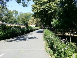 Parcul Clubului Diplomatic in Parcul Herastrau din Bucuresti