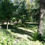 Parcul Clubului Diplomatic in Parcul Herastrau din Bucuresti