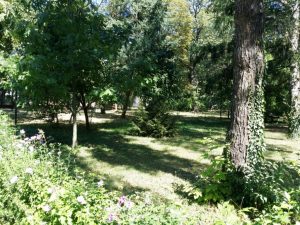 Parcul Clubului Diplomatic in Parcul Herastrau din Bucuresti