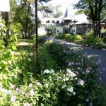 Parcul Clubului Diplomatic in Parcul Herastrau din Bucuresti