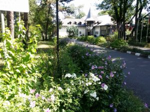 Parcul Clubului Diplomatic in Parcul Herastrau din Bucuresti