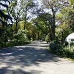 Parcul Clubului Diplomatic in Parcul Herastrau din Bucuresti