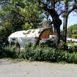 Parcul Clubului Diplomatic in Parcul Herastrau din Bucuresti