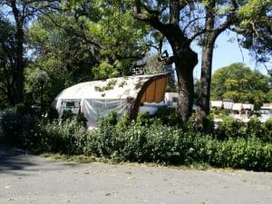 Parcul Clubului Diplomatic in Parcul Herastrau din Bucuresti