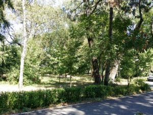 Parcul Clubului Diplomatic in Parcul Herastrau din Bucuresti